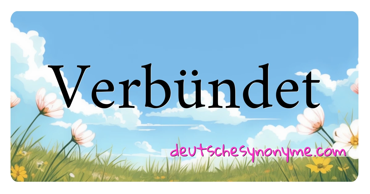 Verbündet Synonyme Kreuzworträtsel bedeuten Erklärung und Verwendung