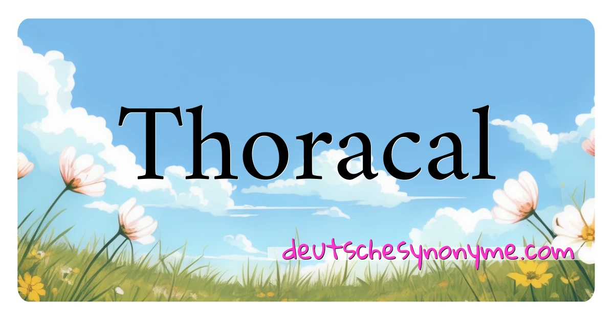 Thoracal Synonyme Kreuzworträtsel bedeuten Erklärung und Verwendung