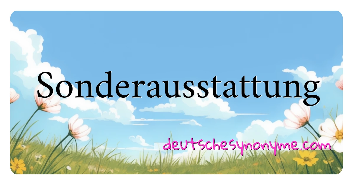 Sonderausstattung Synonyme Kreuzworträtsel bedeuten Erklärung und Verwendung