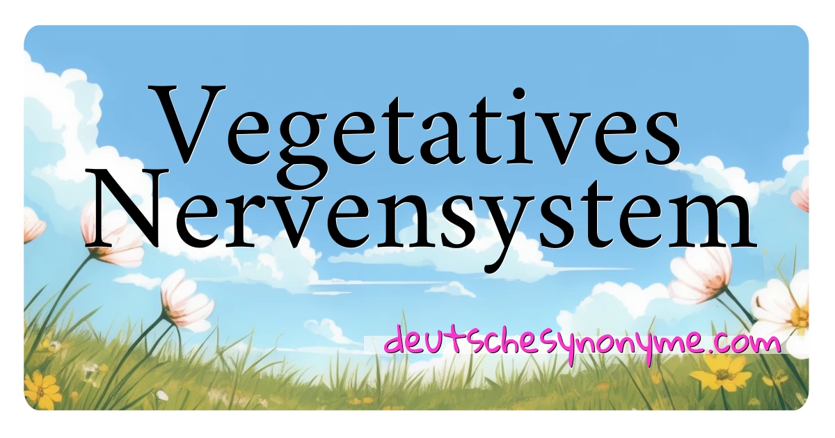 Vegetatives Nervensystem Synonyme Kreuzworträtsel bedeuten Erklärung und Verwendung