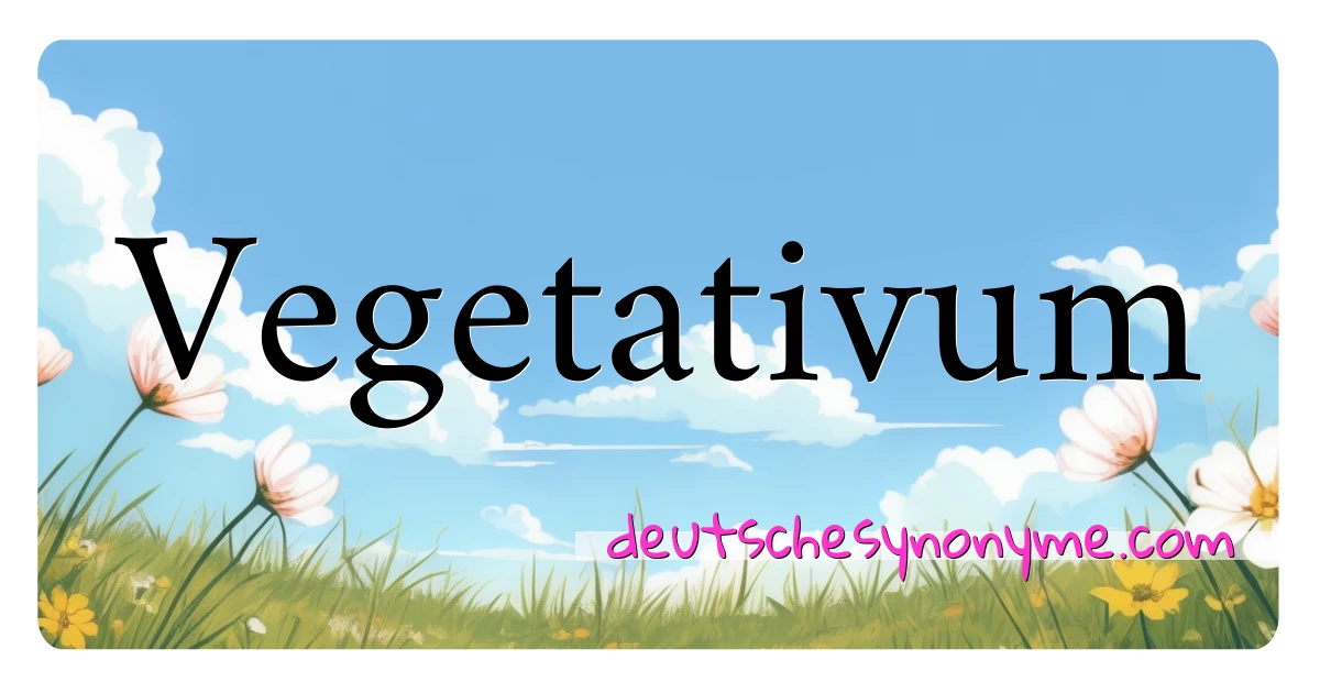 Vegetativum Synonyme Kreuzworträtsel bedeuten Erklärung und Verwendung