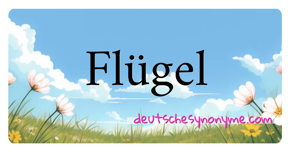 Flügel Synonyme Kreuzworträtsel bedeuten Erklärung und Verwendung