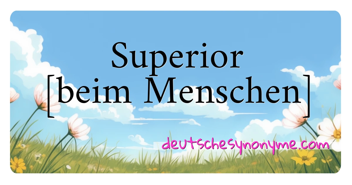 Superior [beim Menschen] Synonyme Kreuzworträtsel bedeuten Erklärung und Verwendung