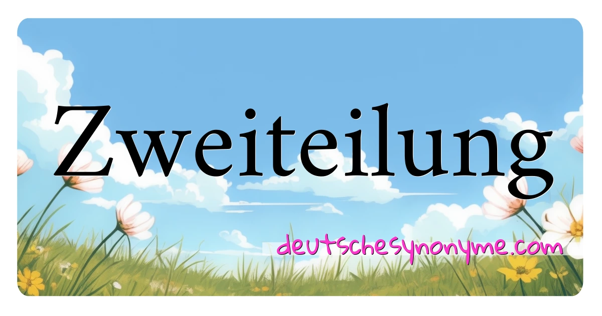 Zweiteilung Synonyme Kreuzworträtsel bedeuten Erklärung und Verwendung