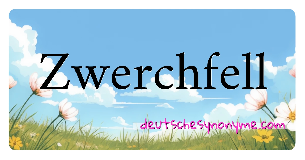 Zwerchfell Synonyme Kreuzworträtsel bedeuten Erklärung und Verwendung