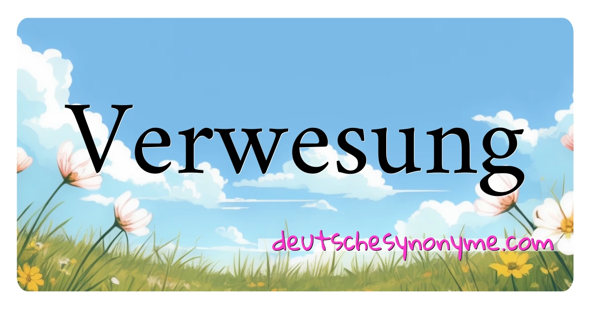 Verwesung Synonyme Kreuzworträtsel bedeuten Erklärung und Verwendung