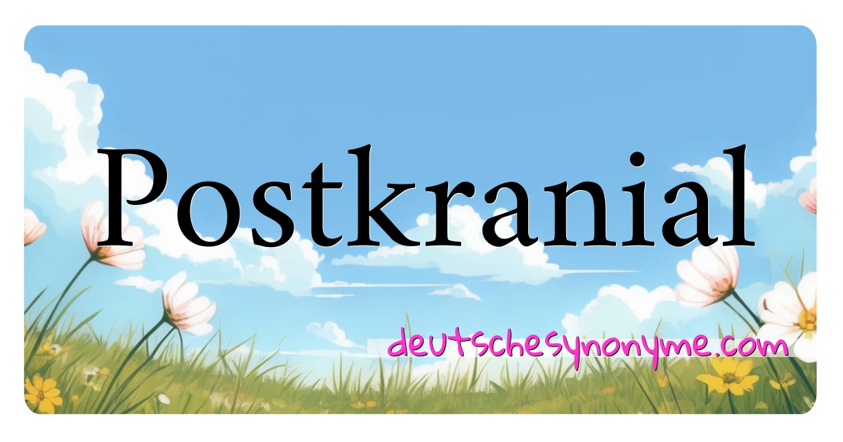 Postkranial Synonyme Kreuzworträtsel bedeuten Erklärung und Verwendung