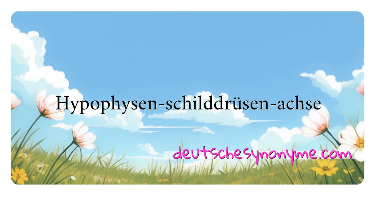 Hypophysen-schilddrüsen-achse Synonyme Kreuzworträtsel bedeuten Erklärung und Verwendung