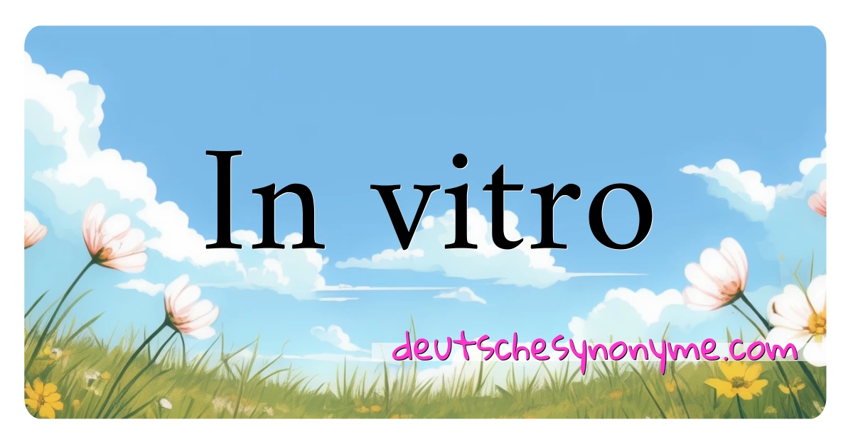 In vitro Synonyme Kreuzworträtsel bedeuten Erklärung und Verwendung