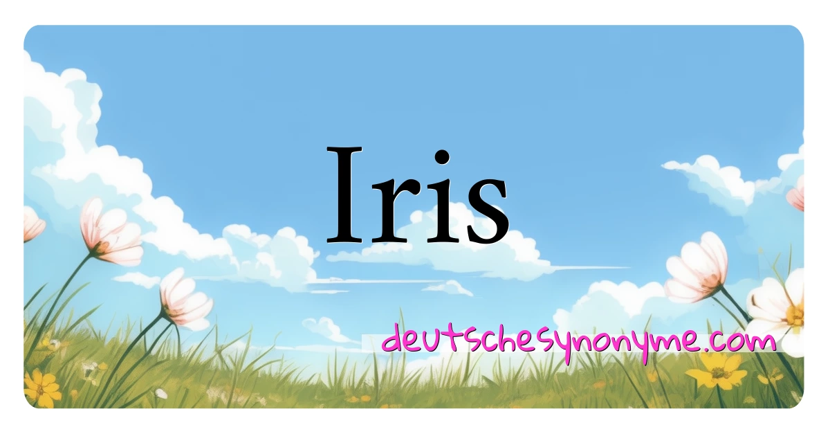 Iris Synonyme Kreuzworträtsel bedeuten Erklärung und Verwendung