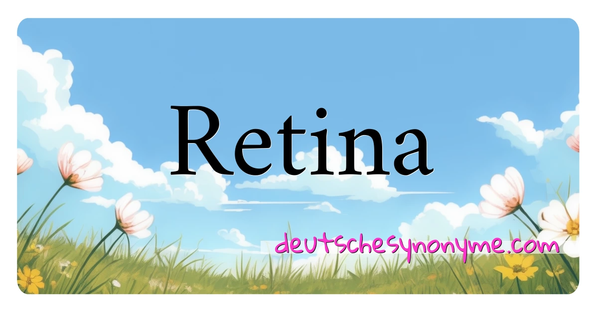 Retina Synonyme Kreuzworträtsel bedeuten Erklärung und Verwendung