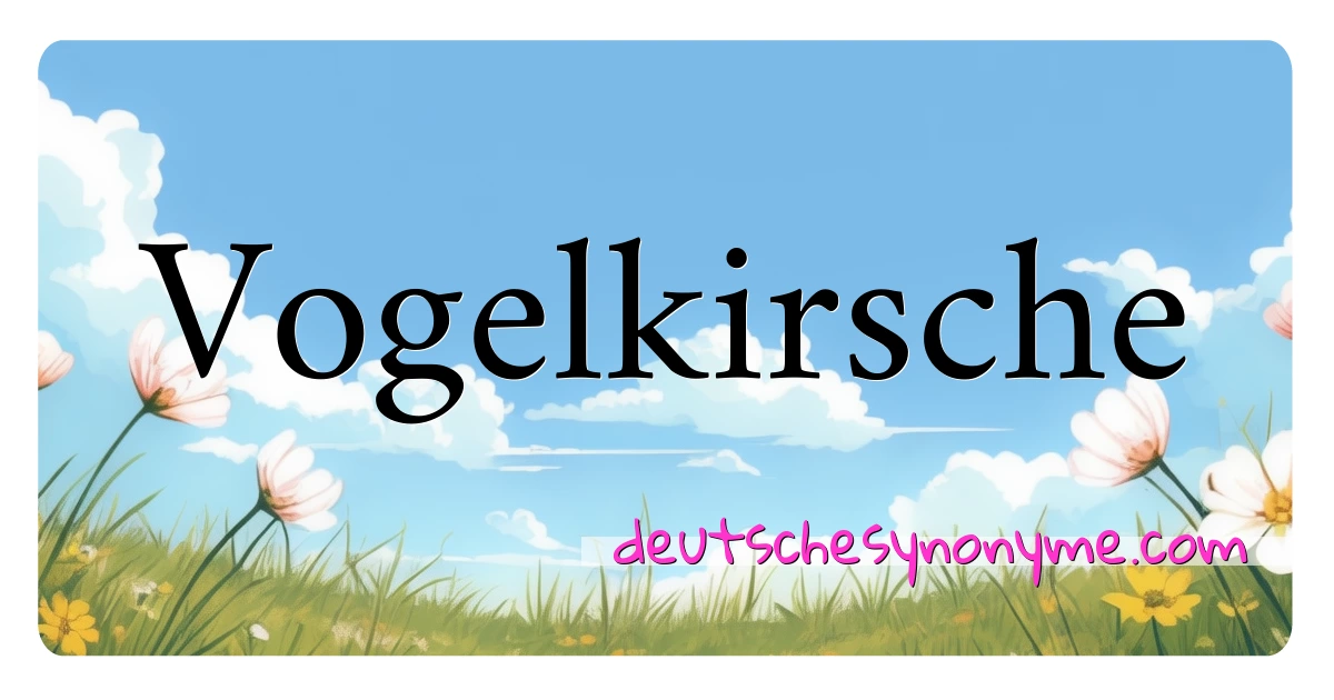 Vogelkirsche Synonyme Kreuzworträtsel bedeuten Erklärung und Verwendung