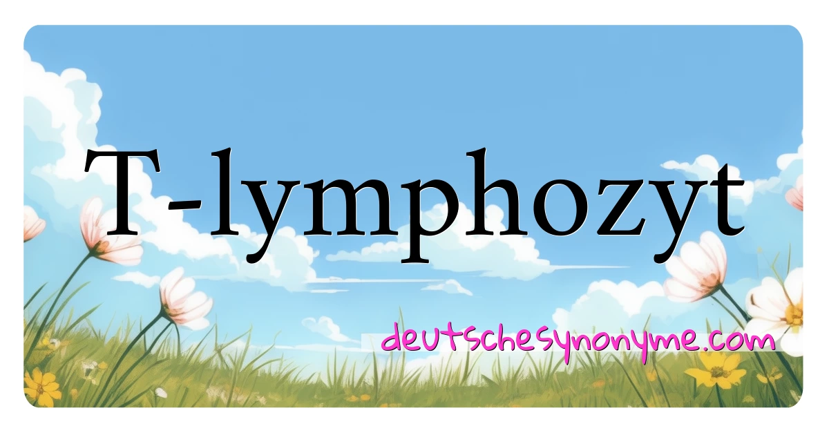 T-lymphozyt Synonyme Kreuzworträtsel bedeuten Erklärung und Verwendung