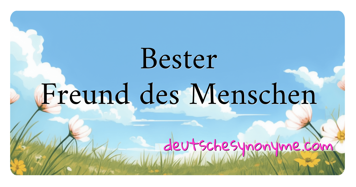 Synonyme für Bester Freund des Menschen