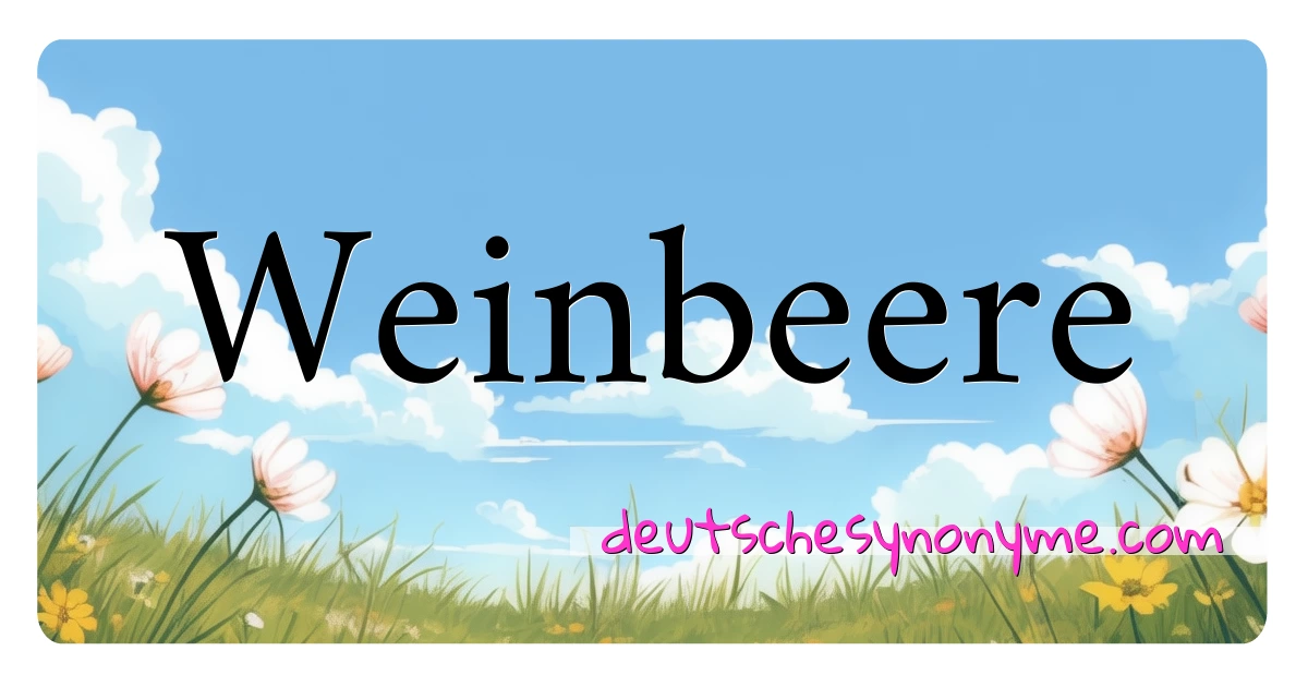 Weinbeere Synonyme Kreuzworträtsel bedeuten Erklärung und Verwendung