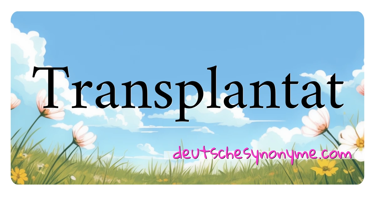 Transplantat Synonyme Kreuzworträtsel bedeuten Erklärung und Verwendung