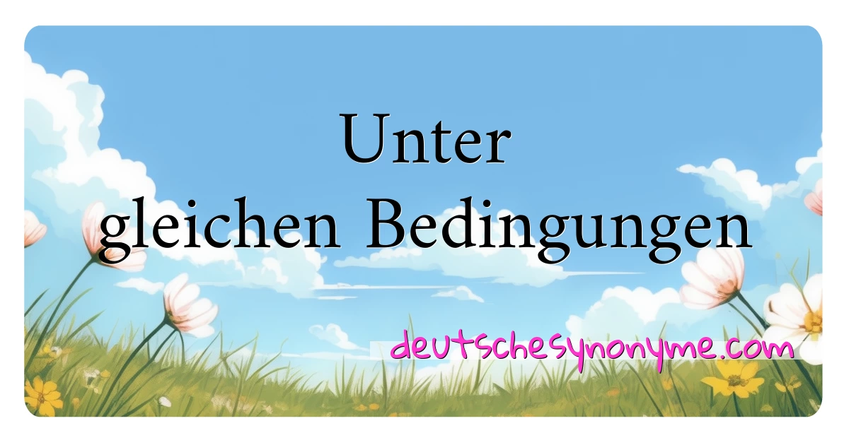 Unter gleichen Bedingungen Synonyme Kreuzworträtsel bedeuten Erklärung und Verwendung